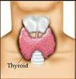 thyroid dia thyroid dia